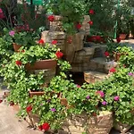Oleander House And Tennis Club Hotel Sunny Beach