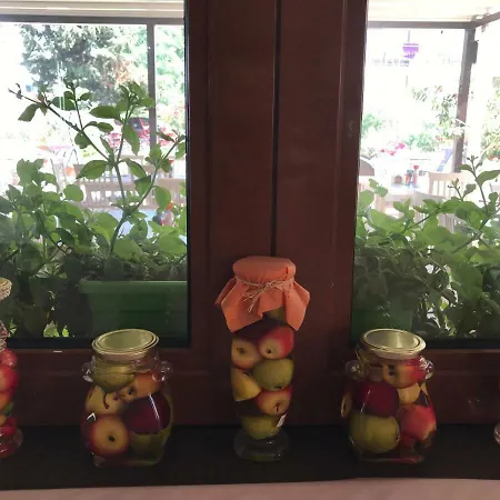 Oleander House And Tennis Club 써니비치